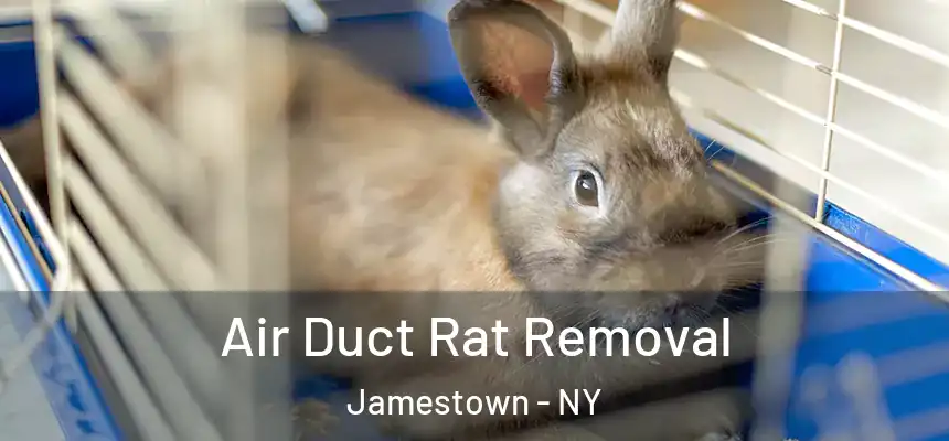  Air Duct Rat Removal Jamestown - NY