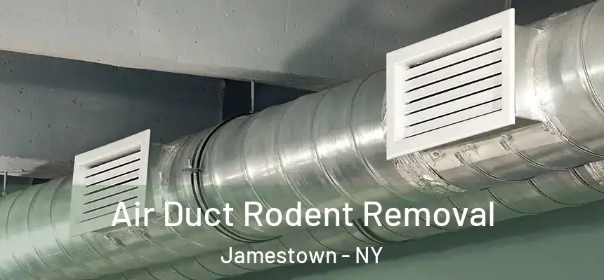  Air Duct Rodent Removal Jamestown - NY