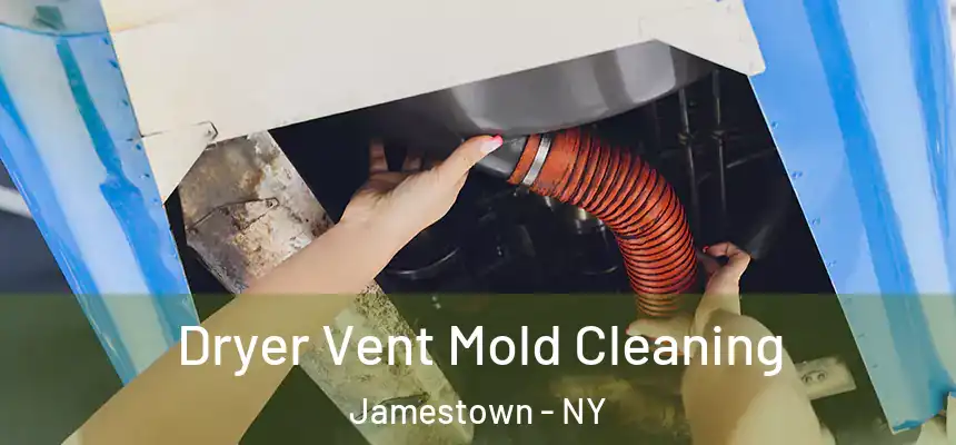  Dryer Vent Mold Cleaning Jamestown - NY