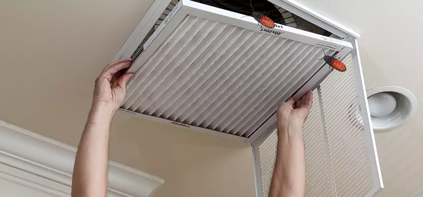 Preventive Cockroach-Proofing for Ducts in Jamestown
