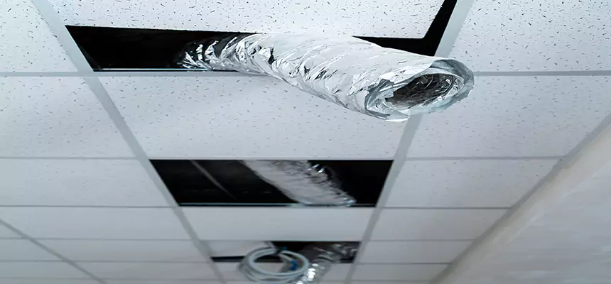 Our Air Duct Pet Hair Removal Services in Jamestown, NY