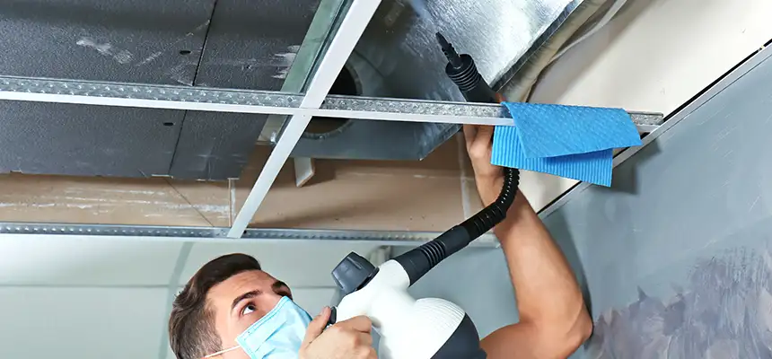 Our Air Duct Rodent Removal Services in Jamestown, NY