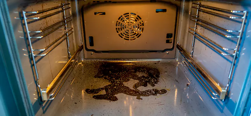 Our Dryer Vent Mold Cleaning Services in Jamestown, NY