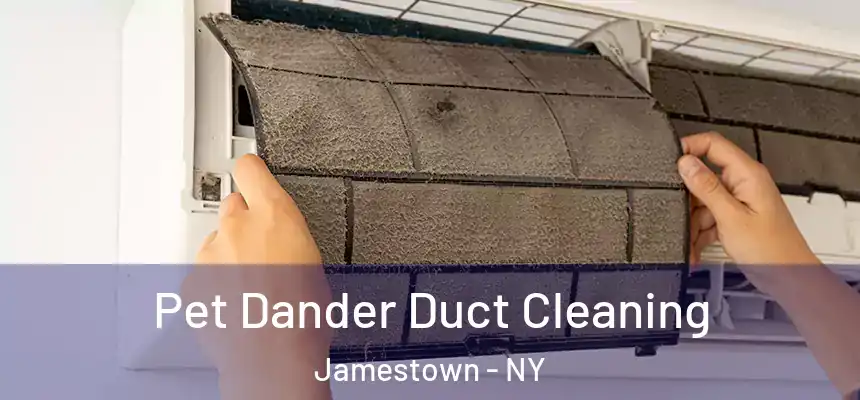 Pet Dander Duct Cleaning Jamestown - NY