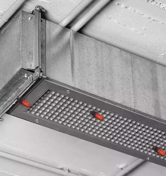 About Air Duct Cockroach Removal in Jamestown, NY
