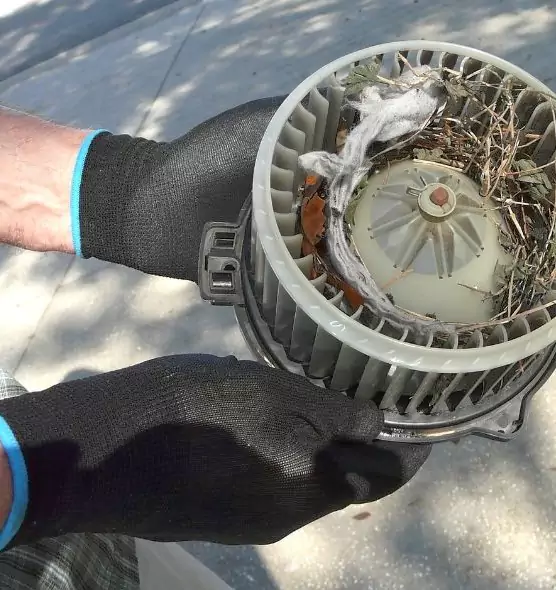 About Air Duct Rat Removal in Jamestown, NY