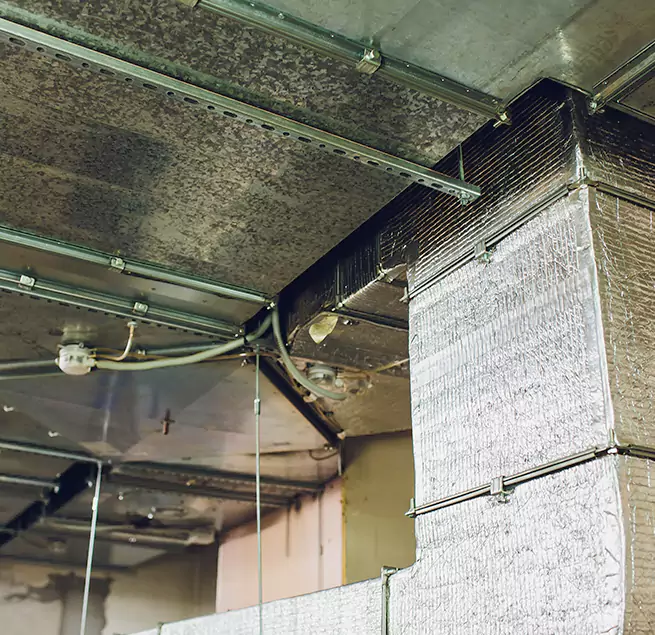 Why Homeowners & Businesses Trust Us in Jamestown, NY?